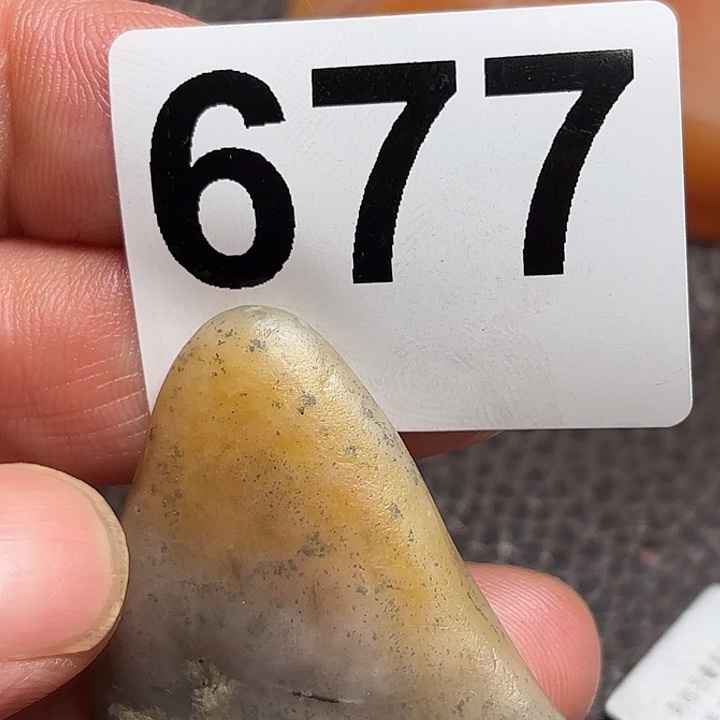 老挝石精美老挝田黄