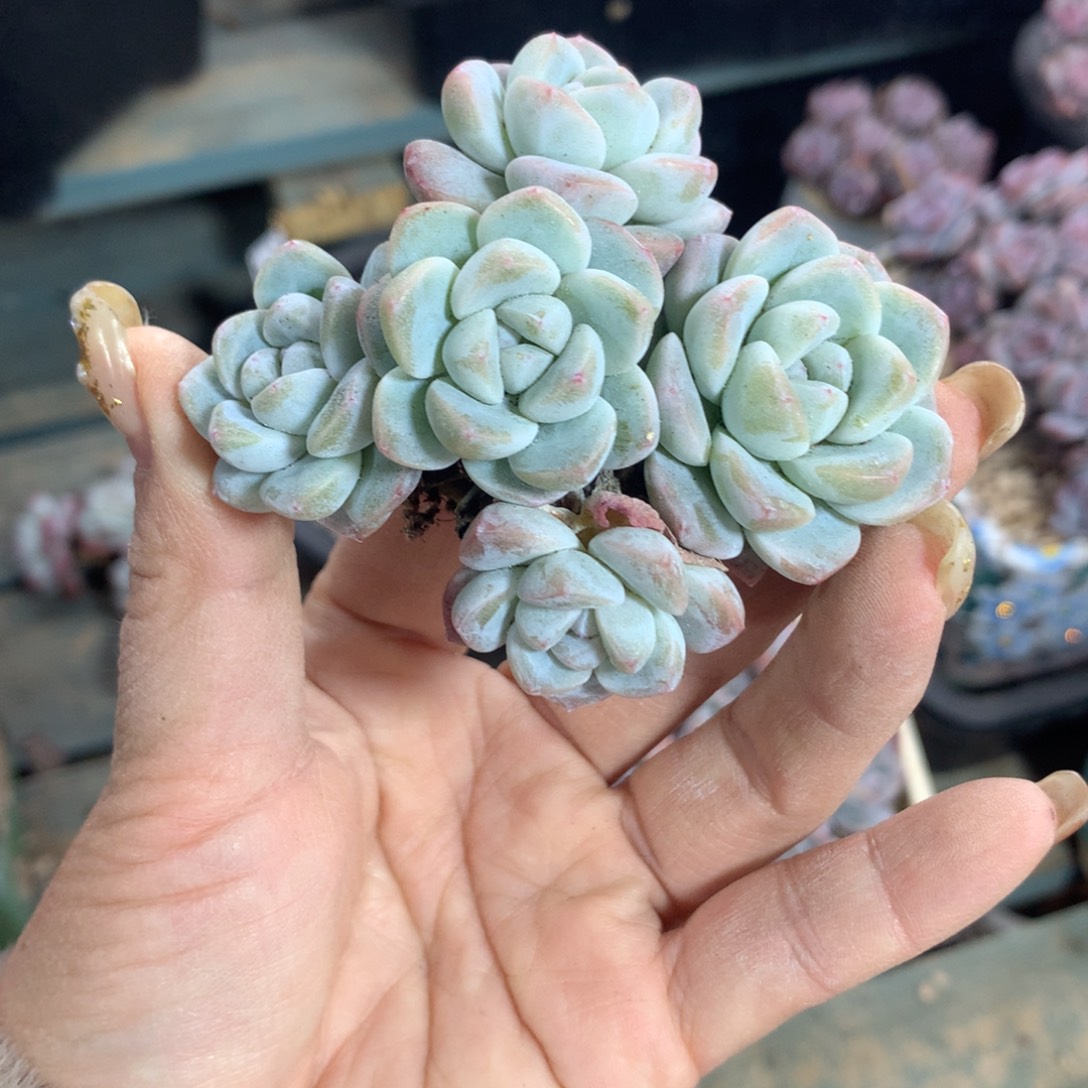 哈哈哈哈哈哈哈哈哈哈