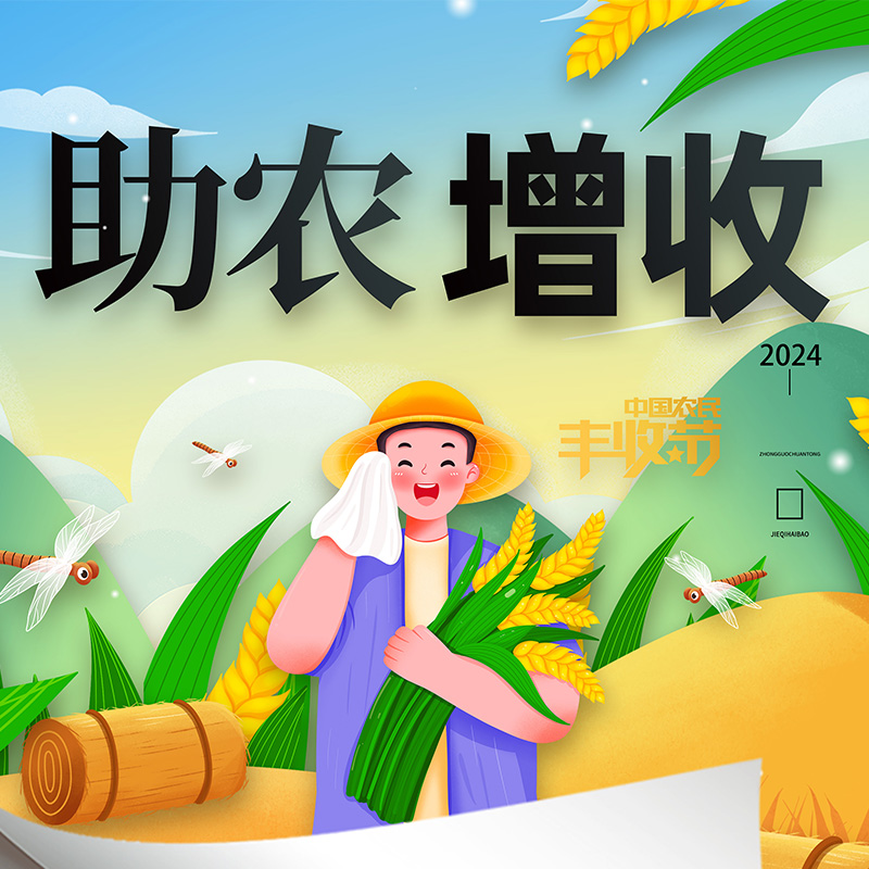 助农帮销 风干鸡 农家粮食鸡