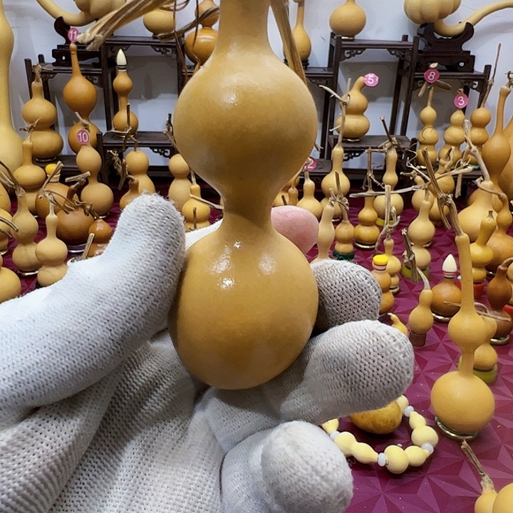 H***p谢谢你们给我带来好运