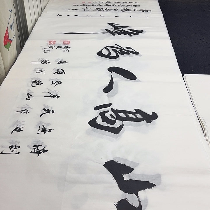 书法老师精品行书平尺