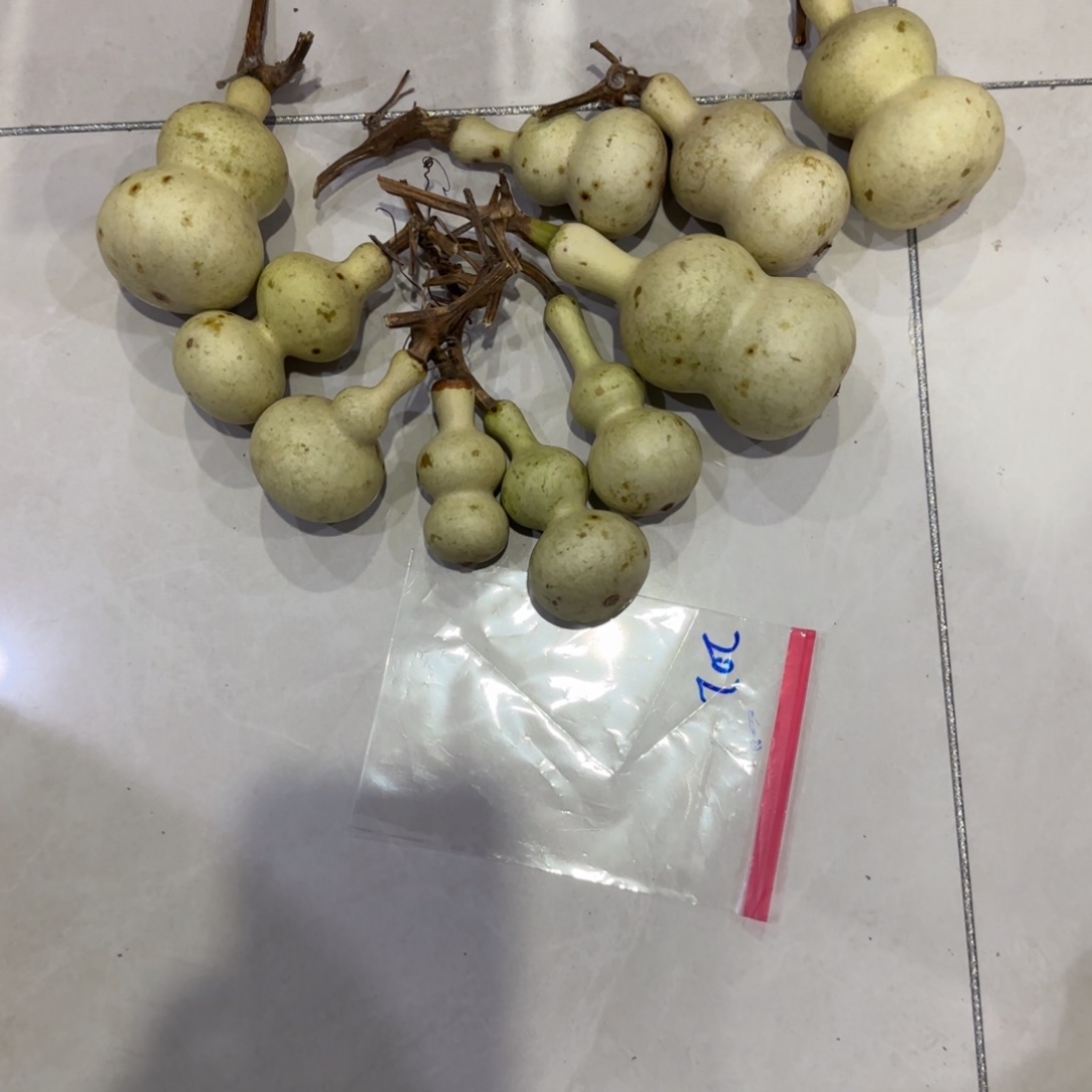 安***人青皮不包成，，，，，，，，，，
