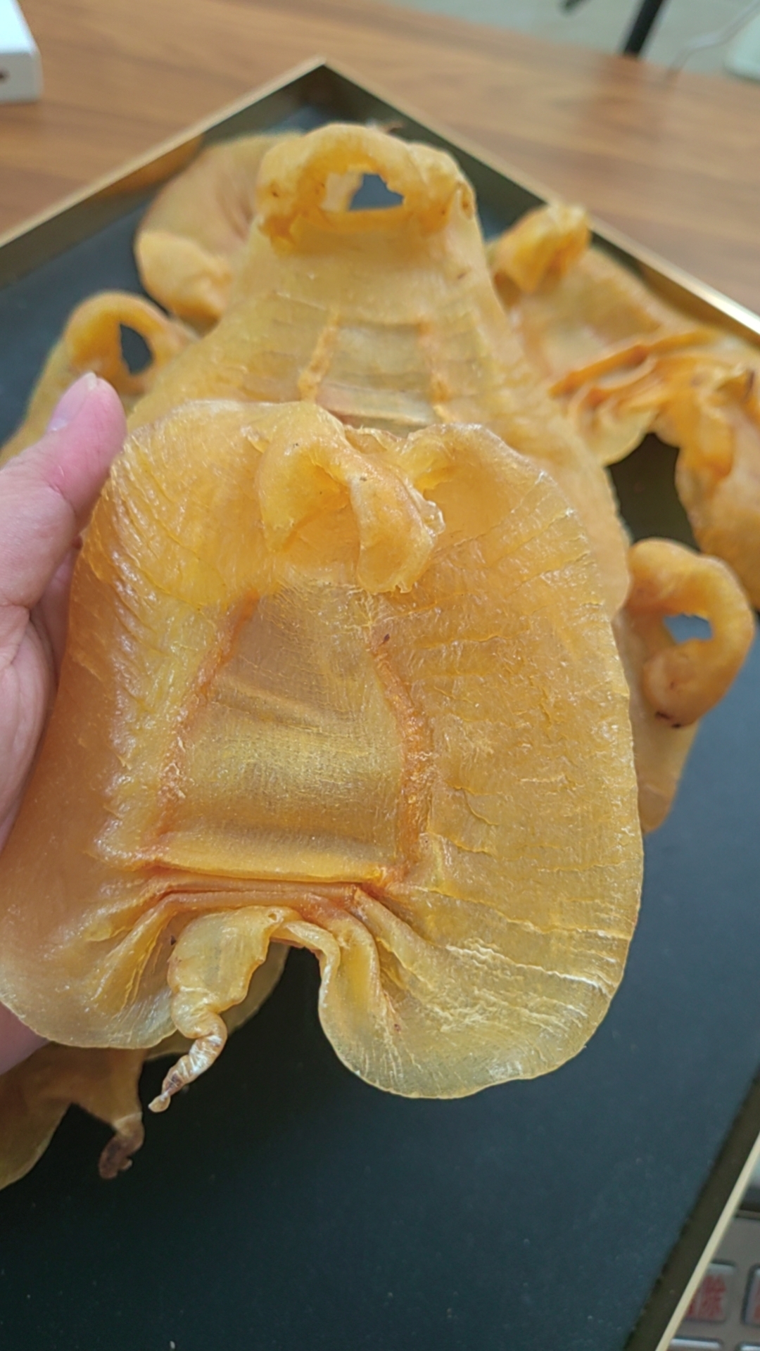 广东汕头-各类鱼胶直播间改价链接