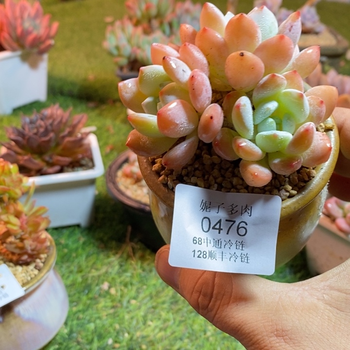 0476啊啊啊啊啊啊啊啊啊啊啊