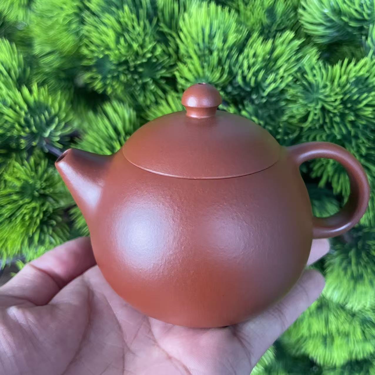 朱泥龙蛋壶LDL-150毫升AA1000