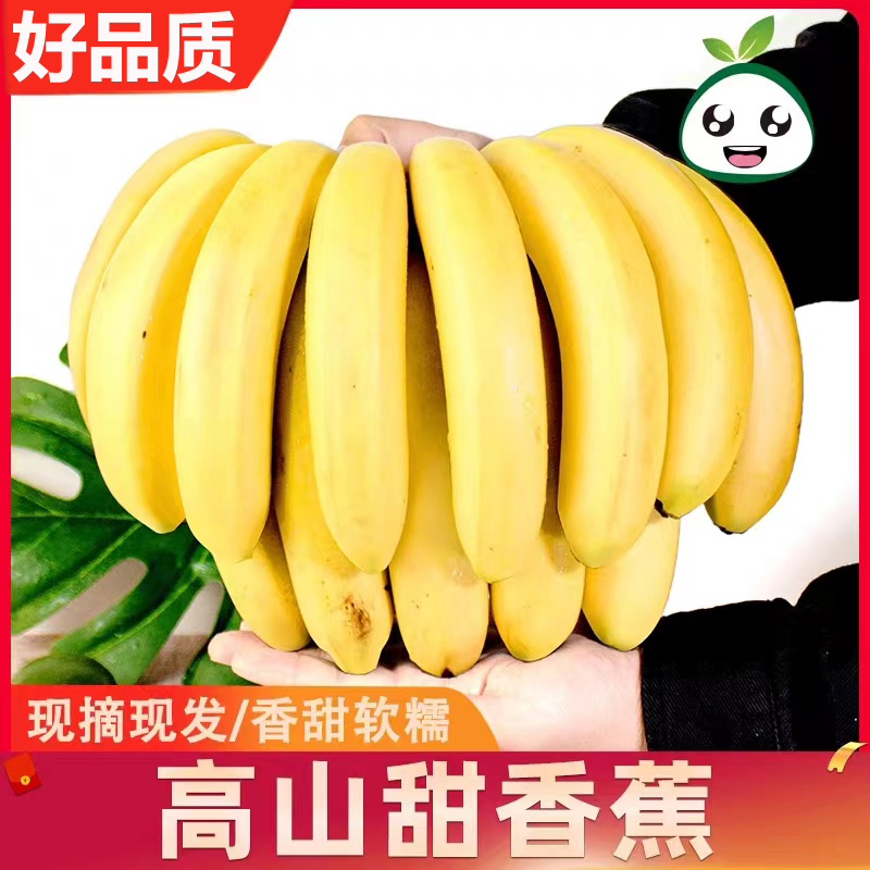 现摘广西高山甜香蕉软糯香甜当季新鲜水果青皮青蕉发货一整箱
