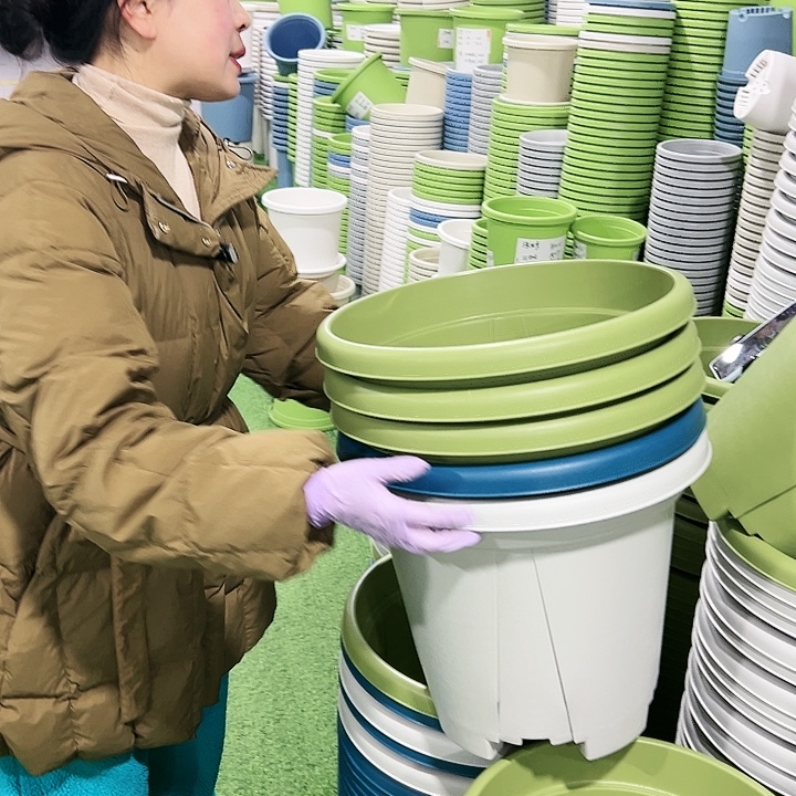 清仓青山口40高34果绿5只无托