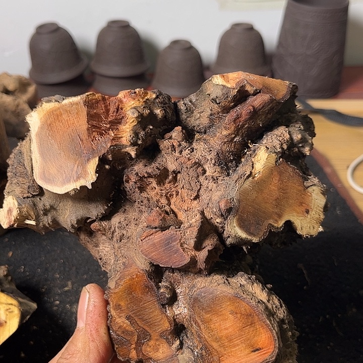 玩***乐香榧木我们的确有点不舒服就是因为