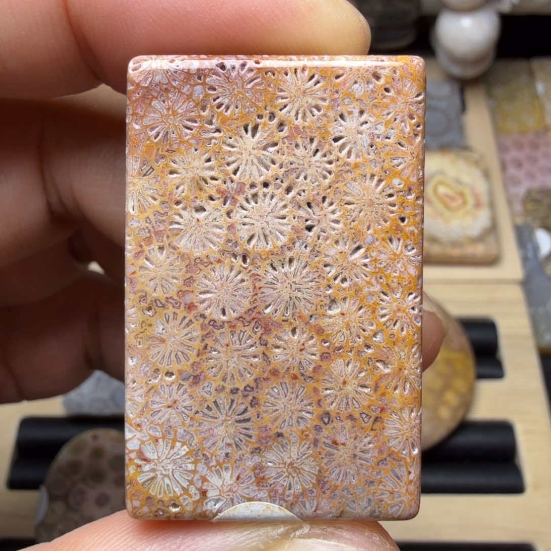 硅化玉未镶嵌纯天然色有机玉石保真色骨骼花