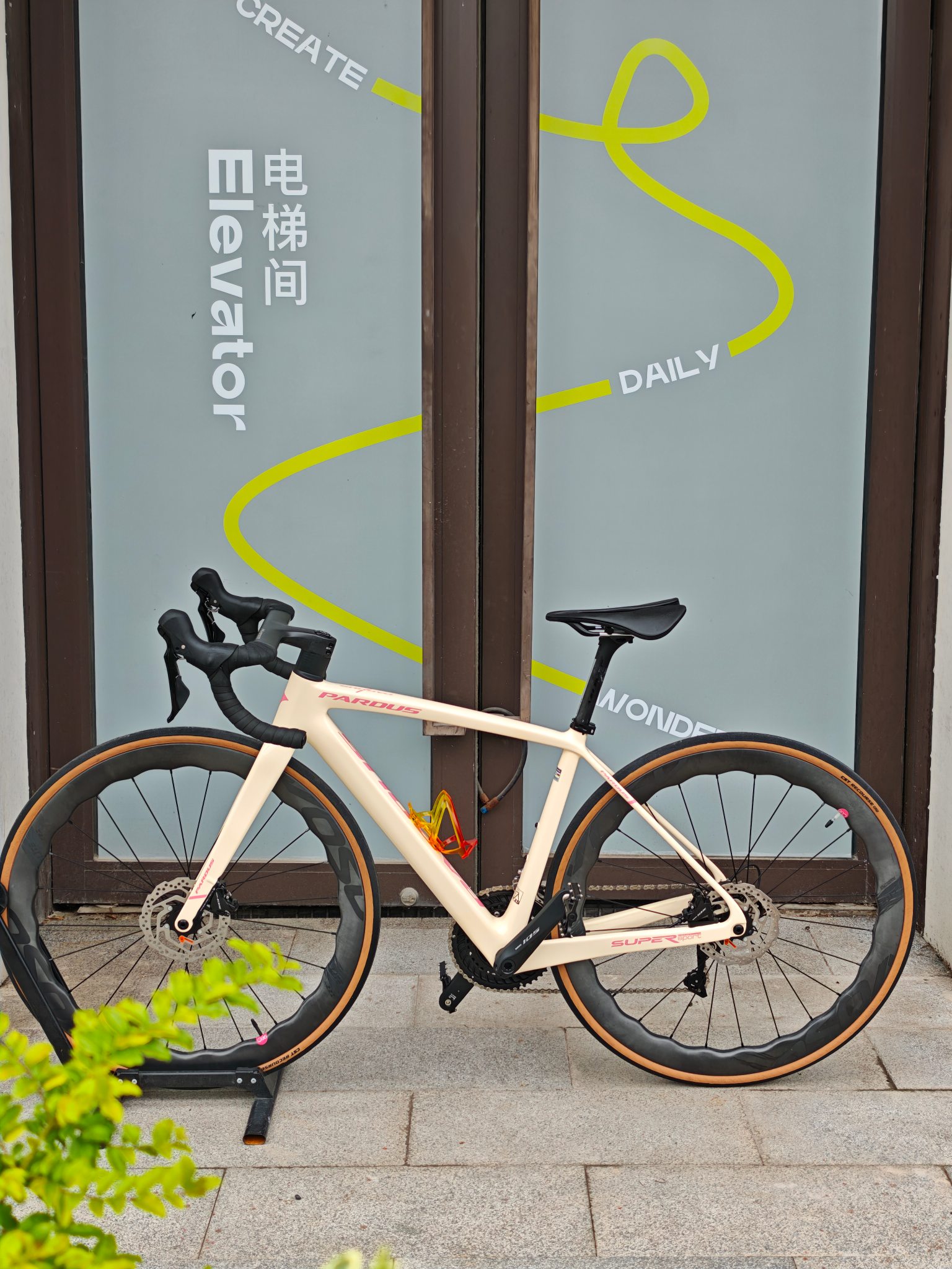 Pardus瑞豹super sport碳纤维公路车xs码适合155-165左右