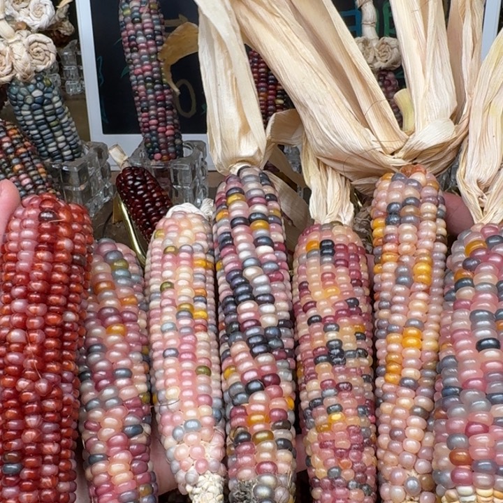 柏香籽/百香籽吊坠?*合