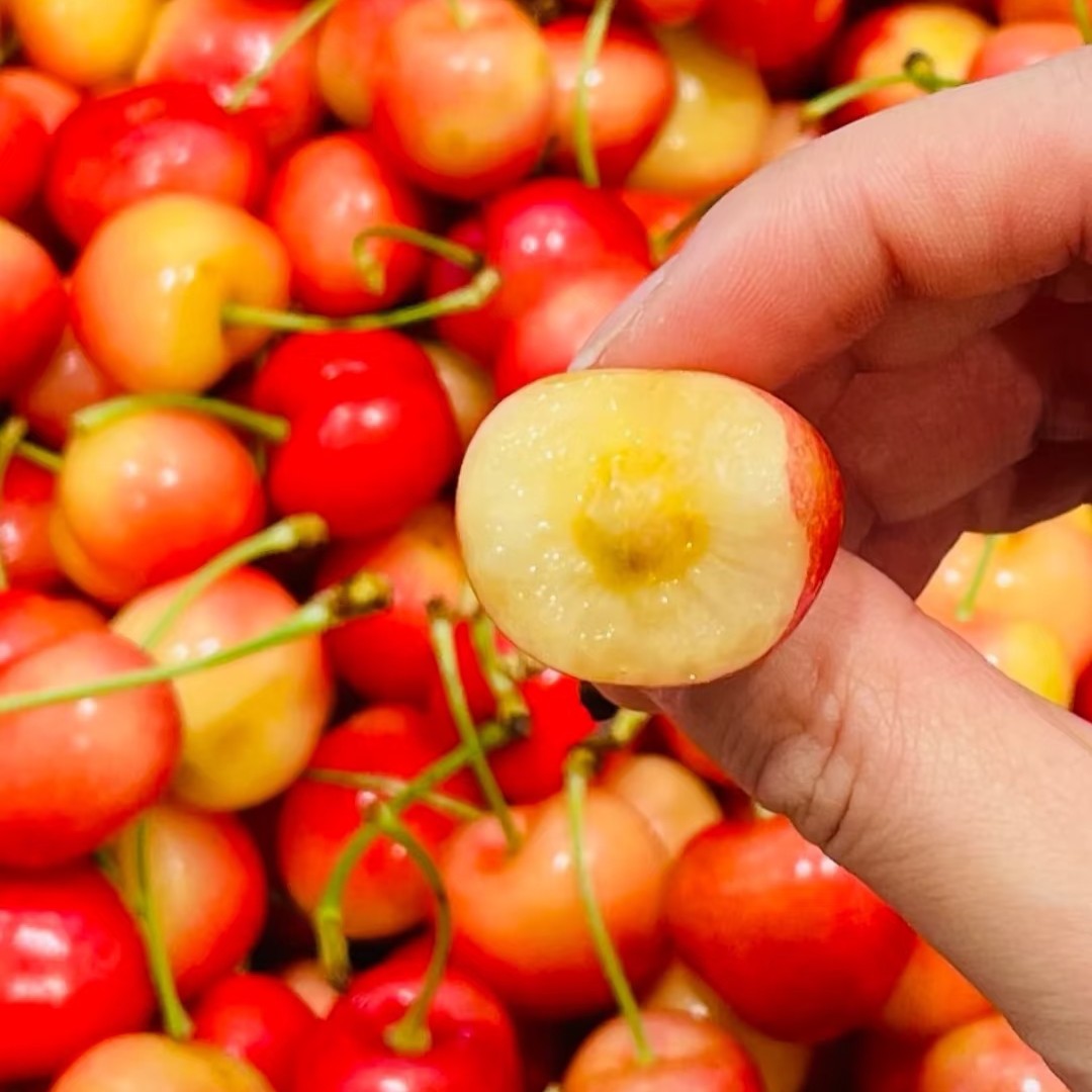 【雷尼尔】空运2J-4J内附果径卡脆甜多汁黄