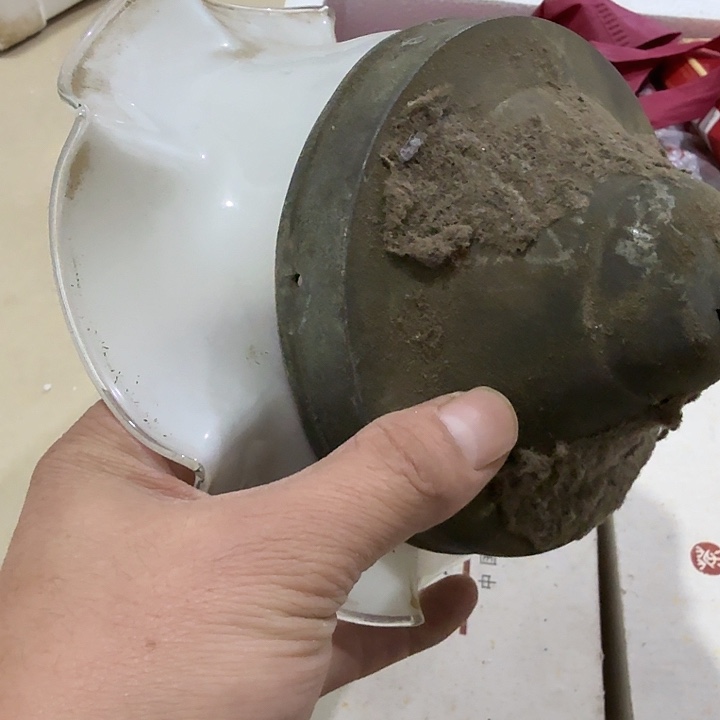 毕***弟扇子 把v和v个vvv个恍恍惚惚不宝贝