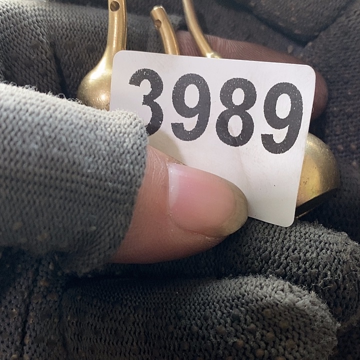 Z***夏光明的未来发展潜力3989