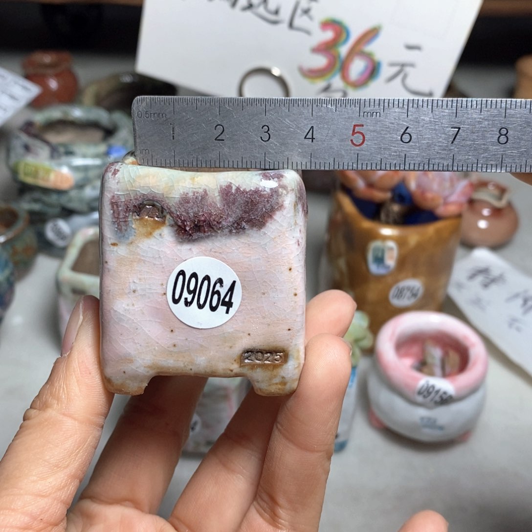 花盆双十二活动不退不换的原38元一个