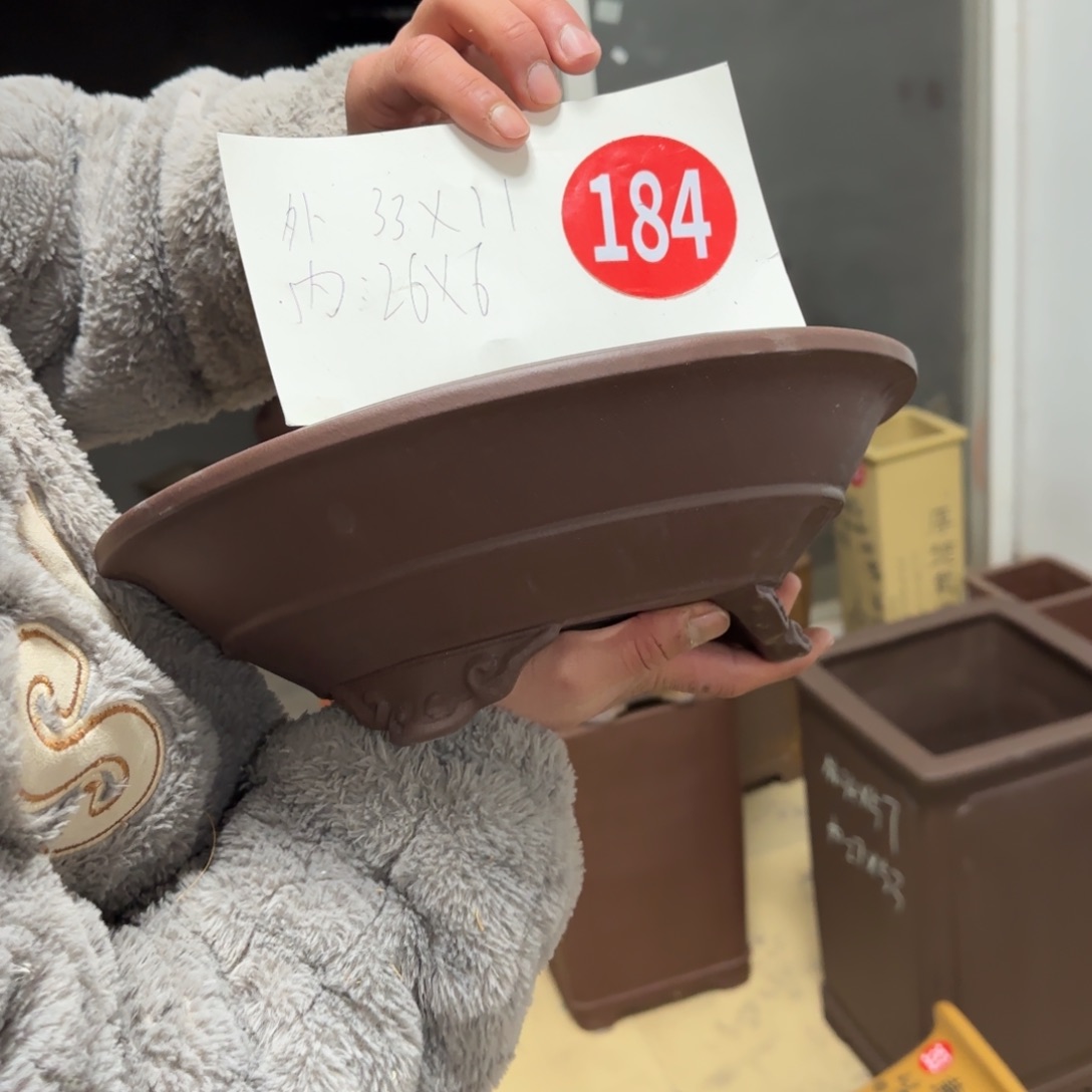 紫砂花盆呜呜呜呜