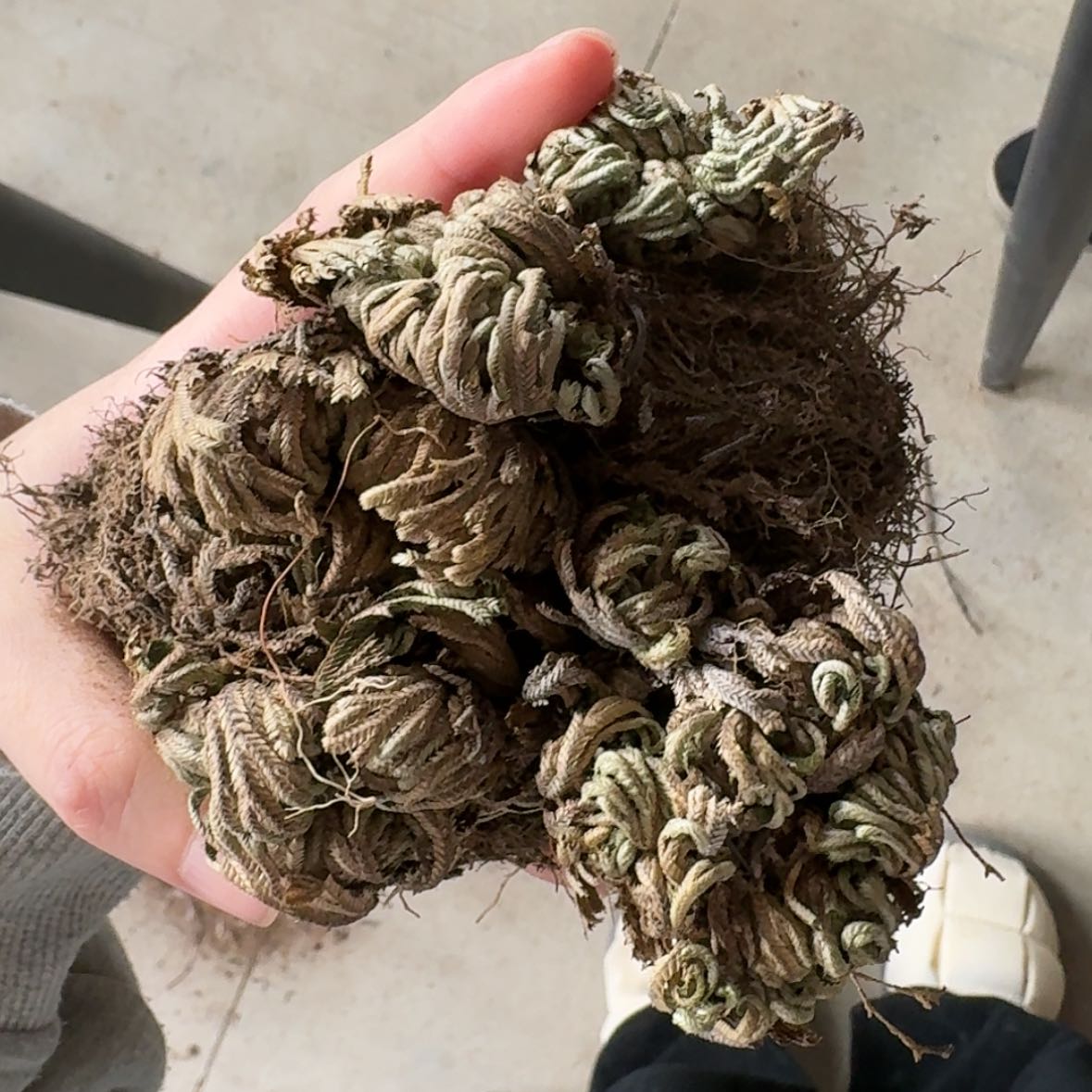 【闪购商品】4哈哈哈哈哈哈哈