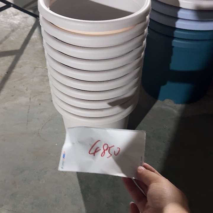 蓝***糖编号是4850的➕10个托