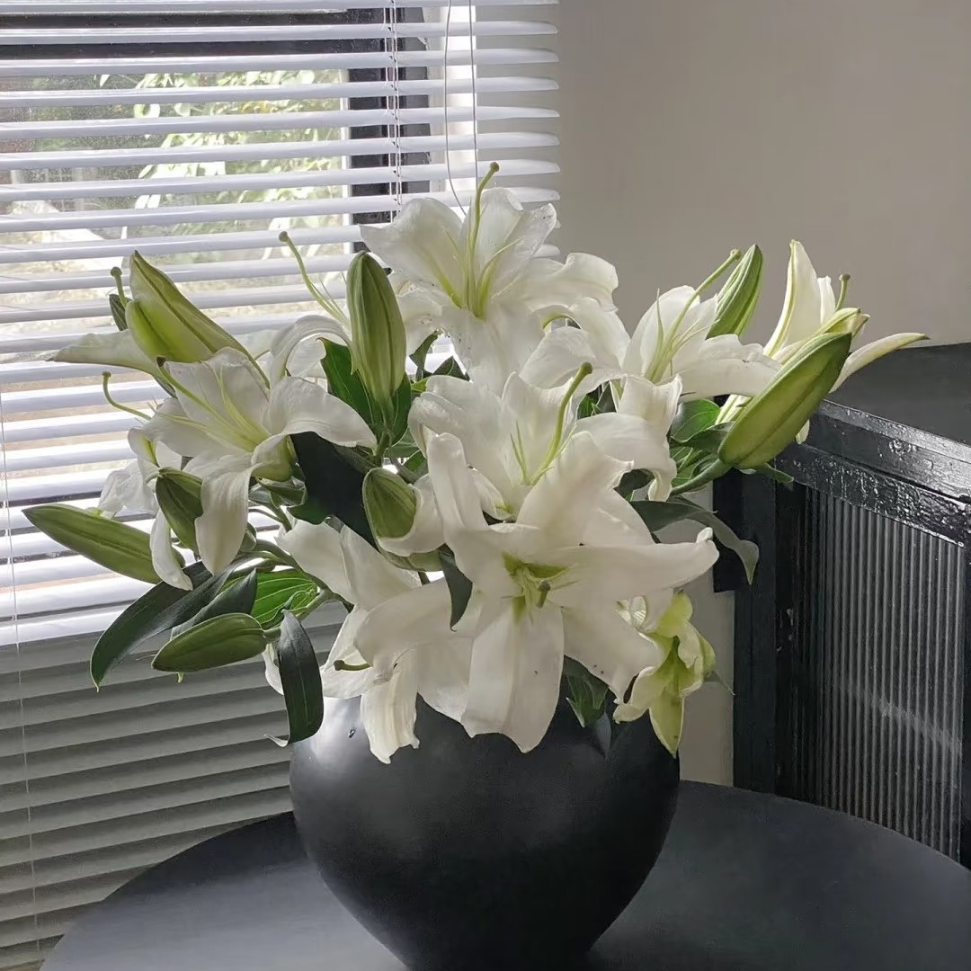 西伯利亚香水百合多头 4 支