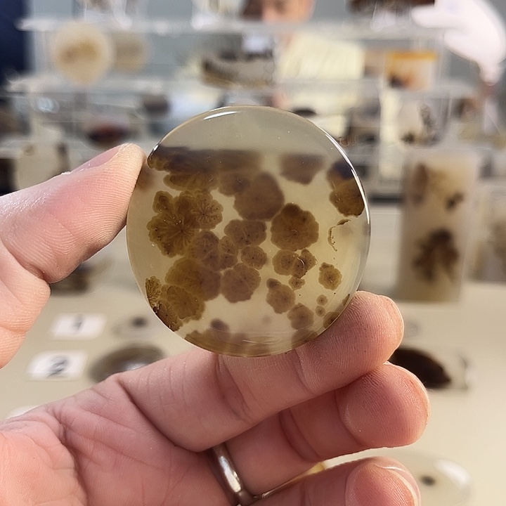 玛瑙/玉髓吊坠(不含链)未镶嵌