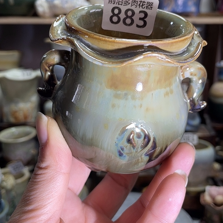 狼盆内口径5高度8