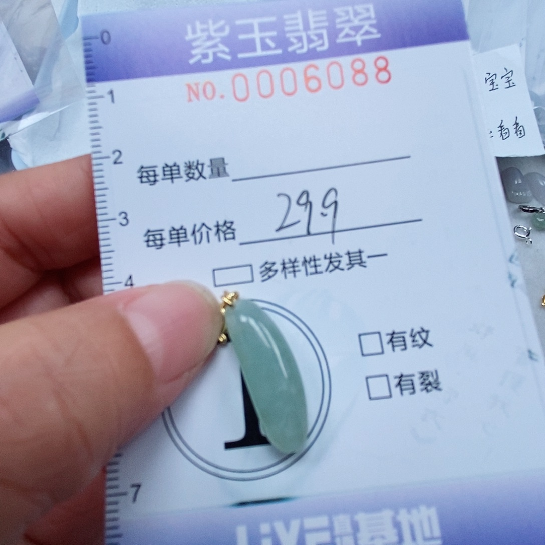 颈饰未镶嵌翡翠冰胶随行