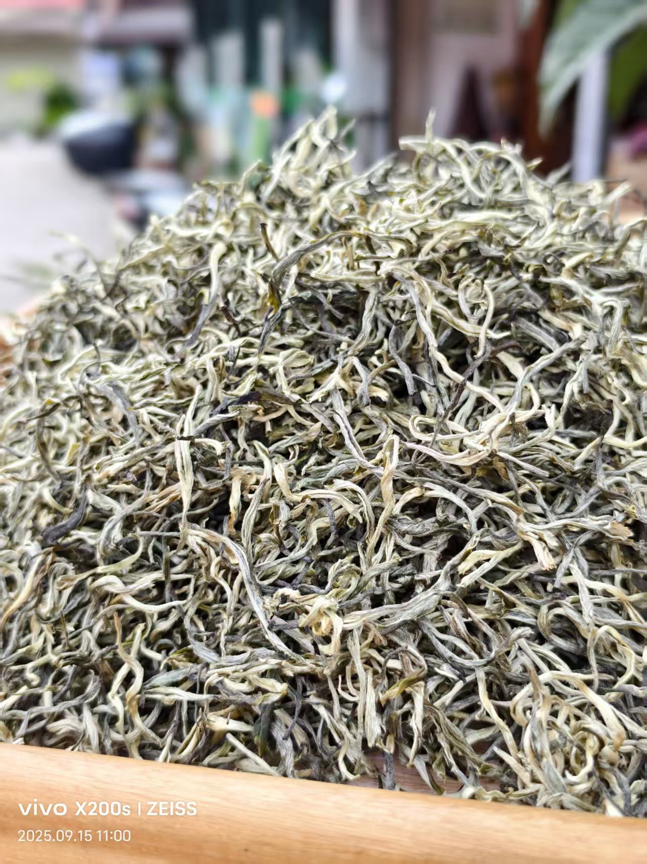 2025新茶云南绿茶一级银丝茶叶浓香型500g袋装云南绿茶