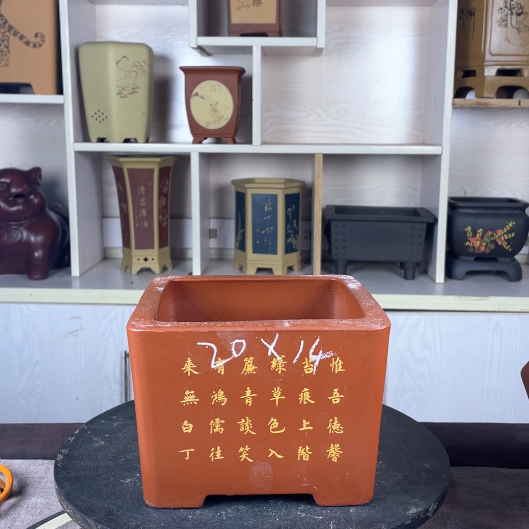 紫砂花盆紫砂花是最美丽