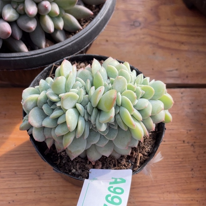 哈哈哈哈哈哈哈哈992