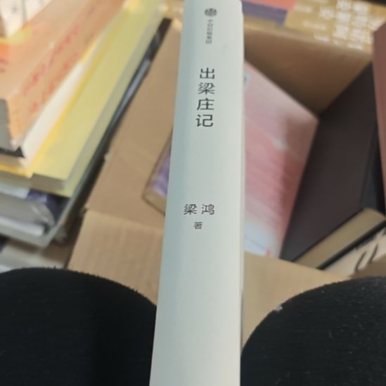 出梁庄记精装（务必塑封）没书衣