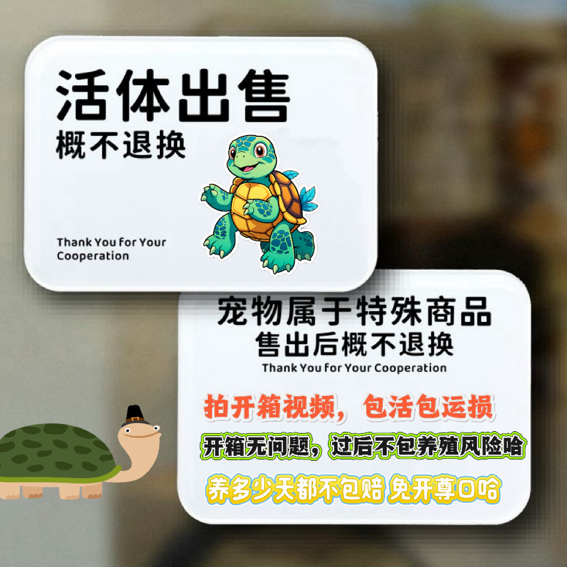 下单链接.活体宠物龟.no退no换