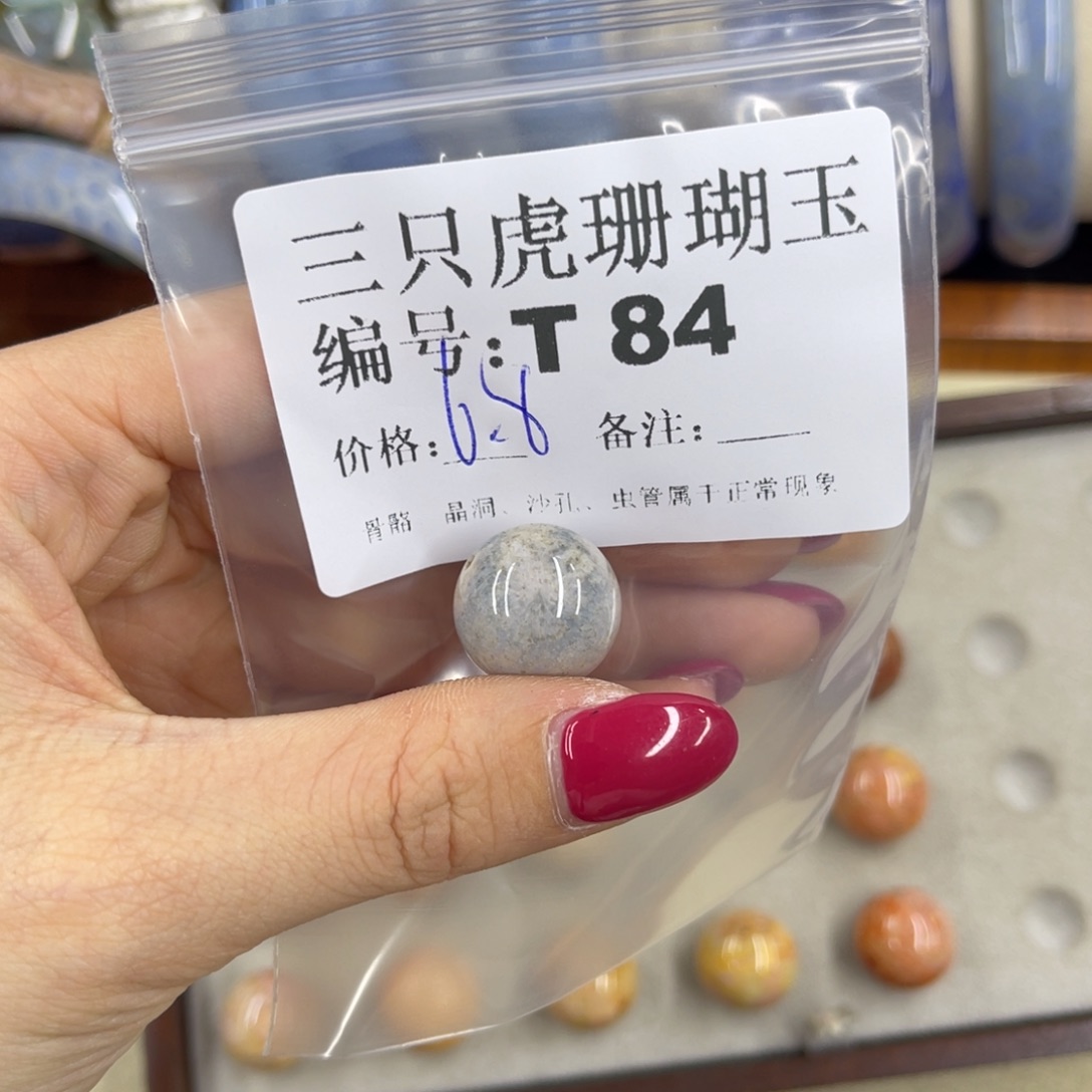 N***9硅化珊瑚（珊瑚玉）h未镶嵌