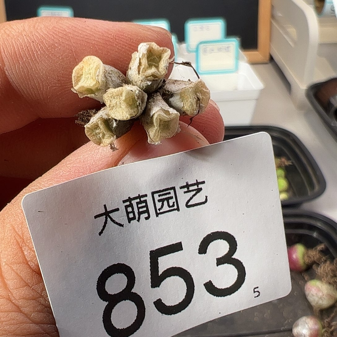 0000853 一物一拍……