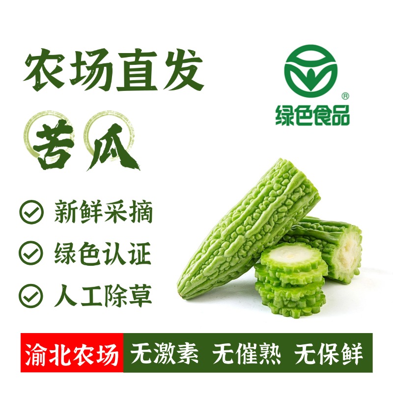 农场直发自然成熟绿色认证当季蔬菜凉拌苦瓜