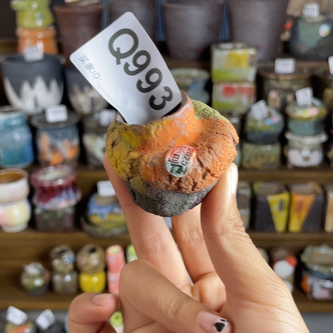 小白孤品 内口2.5百搭