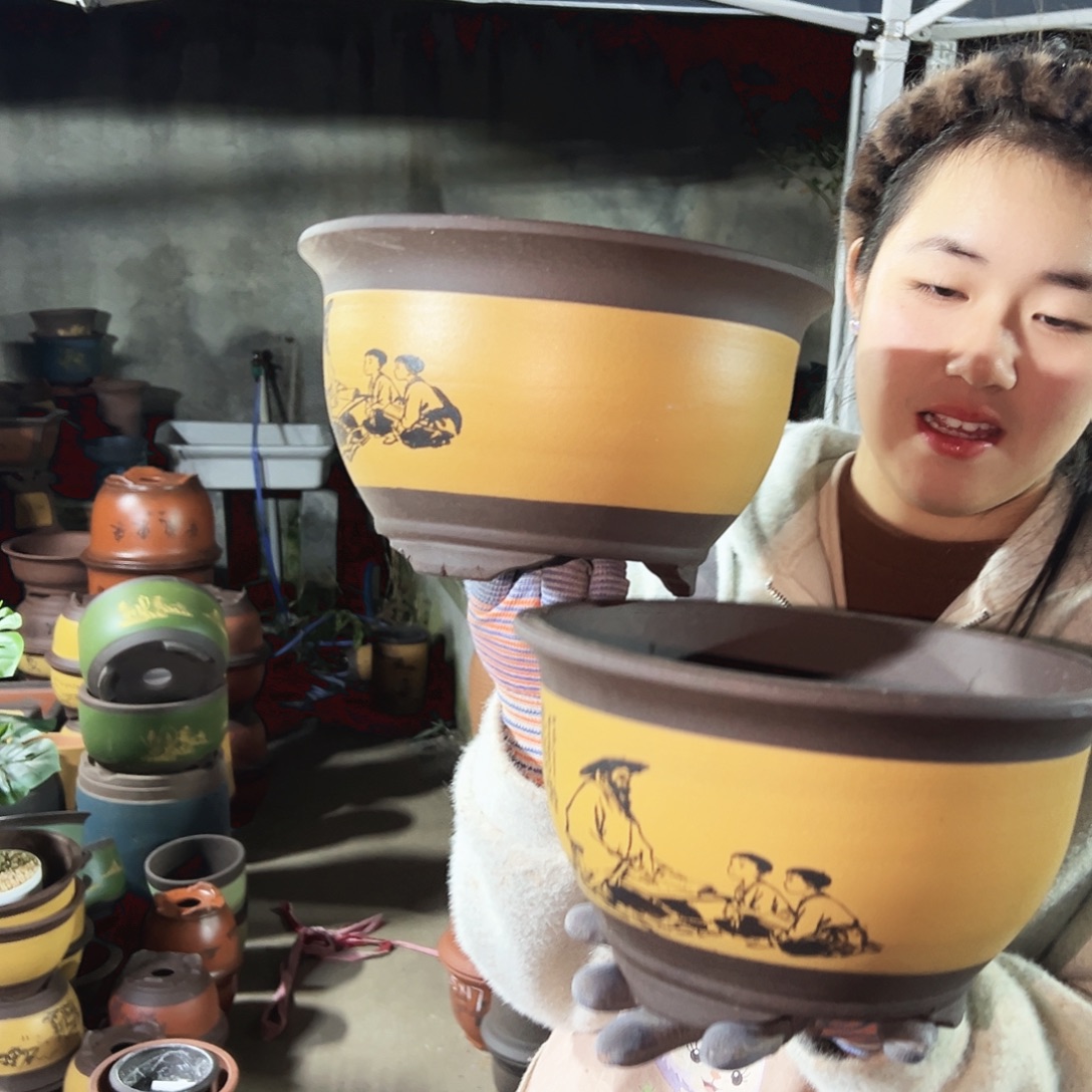 25+25黄色孔夫子三角金钟