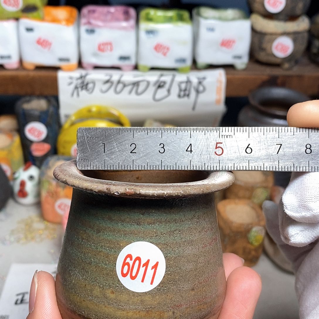 红陶拍5送一个小