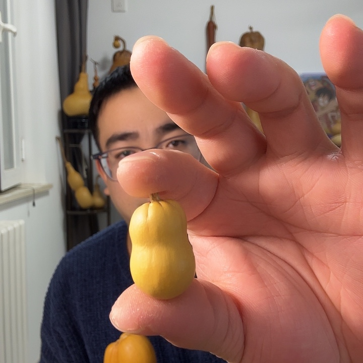 嘎***乐花头草里金 不退不换