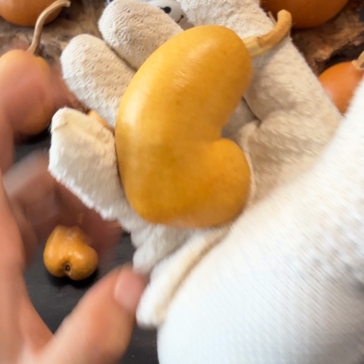 兮***66…………………………………………