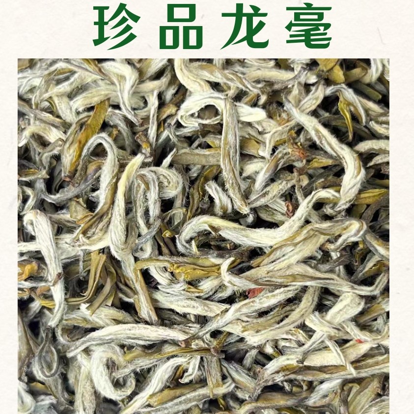 2025年 茉莉珍品龙毫 福建茶胚 花香回甘持久