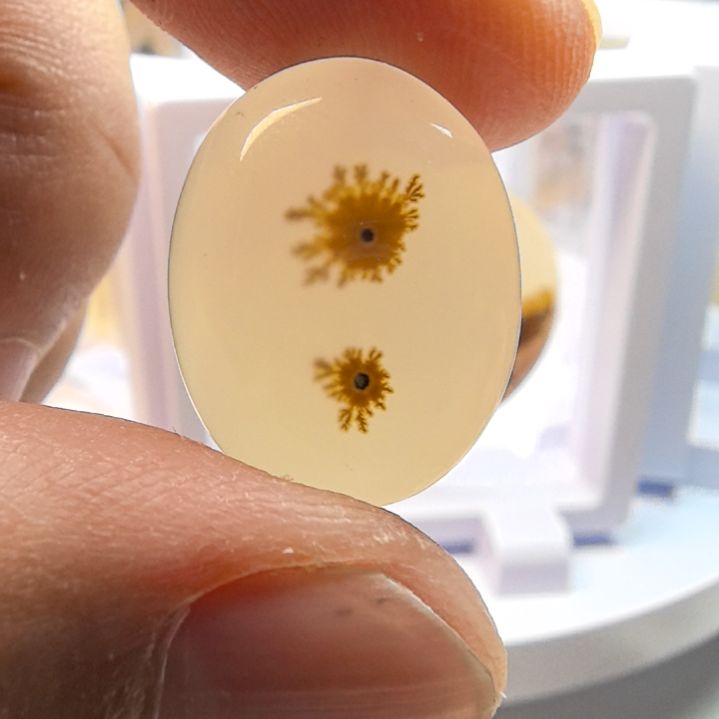 非金属时尚饰品02