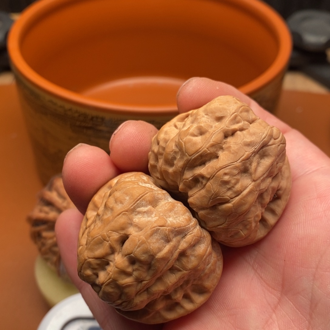 念***情福利福利福利福利