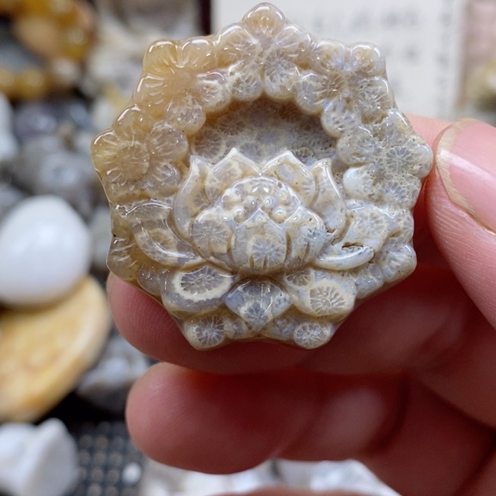 颈饰未镶嵌硅化珊瑚（珊瑚玉）有瑕 小