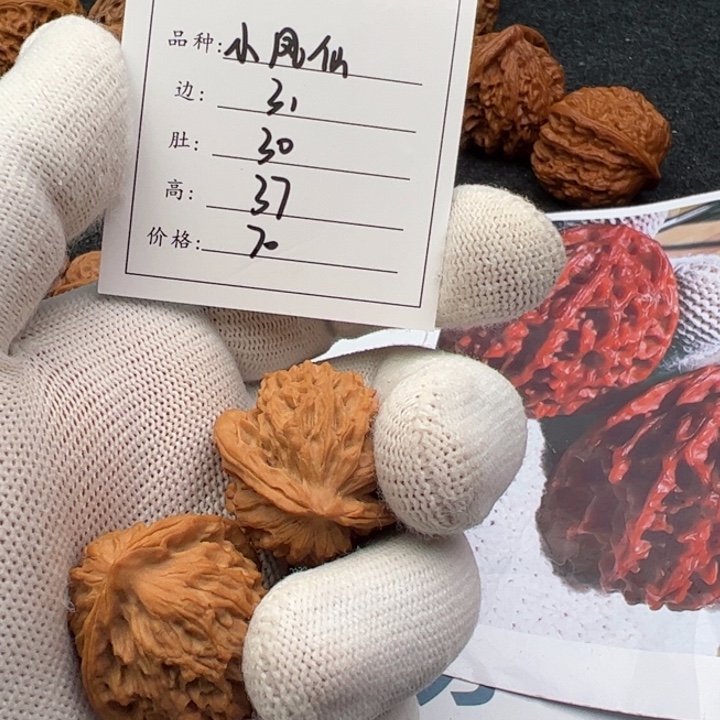 辣***鸡吊坠文玩核桃野生凤仙31