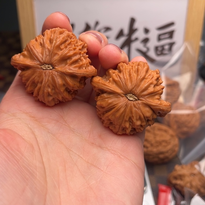 核桃磨磨磨磨磨磨磨磨磨哦默默