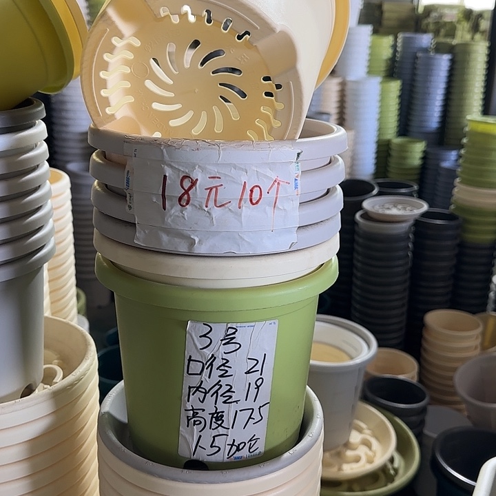 微瑕3#口径21无托果绿10个