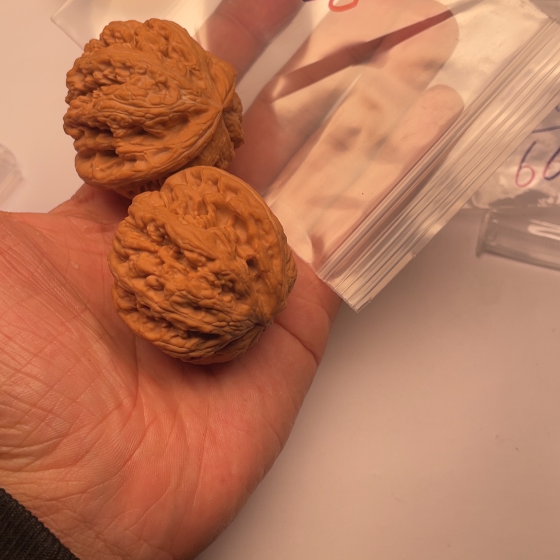 手串/手链核桃066