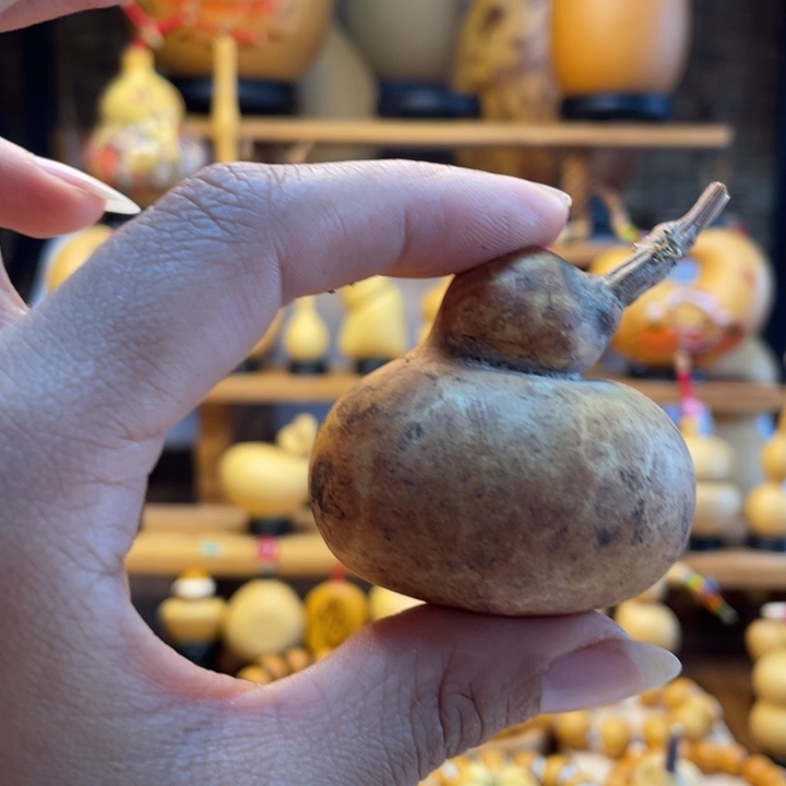 鲨***鱼天然葫芦自然生长