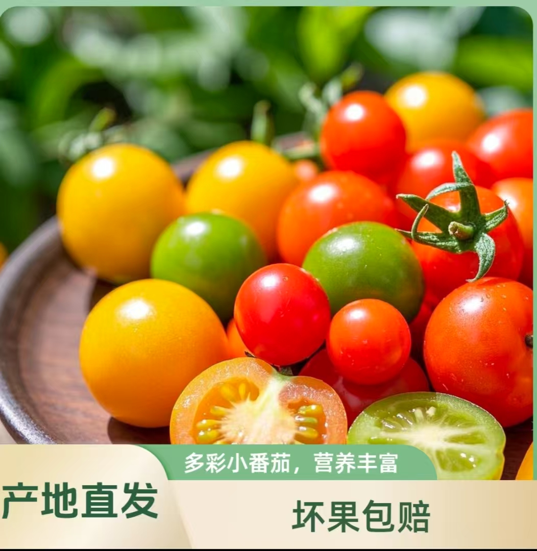 四色小番茄圣女果酸甜多汁新鲜水果组合