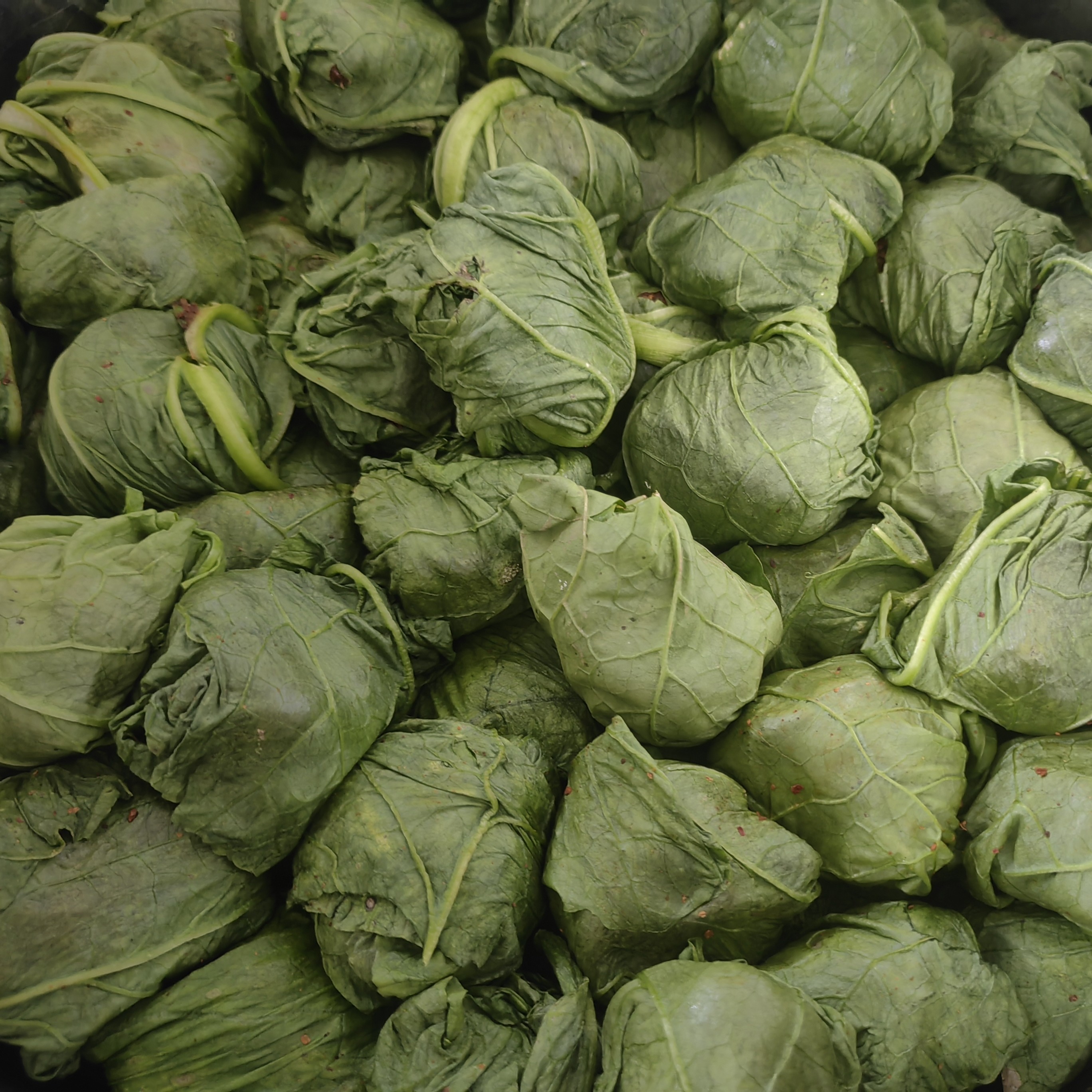 平昌尖山传统菜叶红豆腐麻辣鲜香开盖即食200克